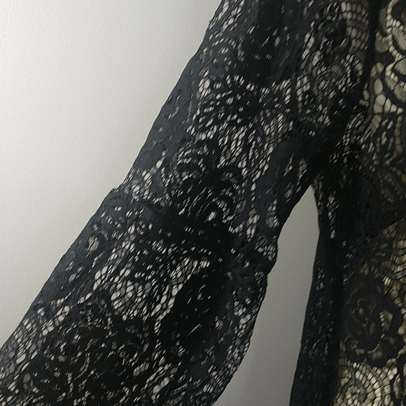 Top: NEW Adiva Rose Lace V-Neck Blouse - Picture 4 of 6